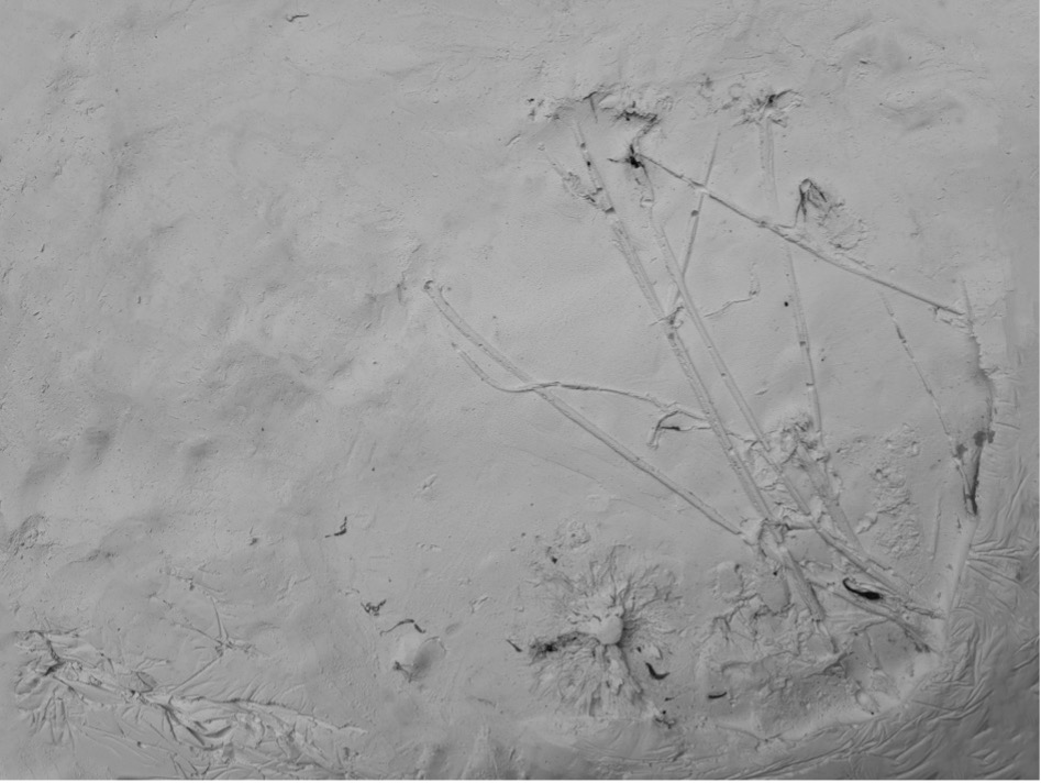 A drawing in the sand Description automatically generated
          with low confidence