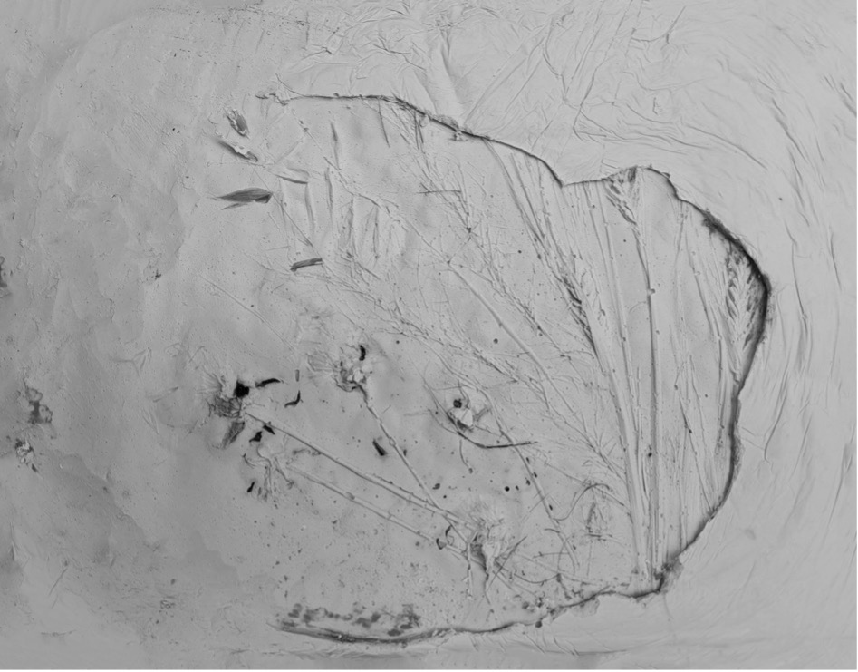 A
          picture containing linedrawing Description automatically
          generated