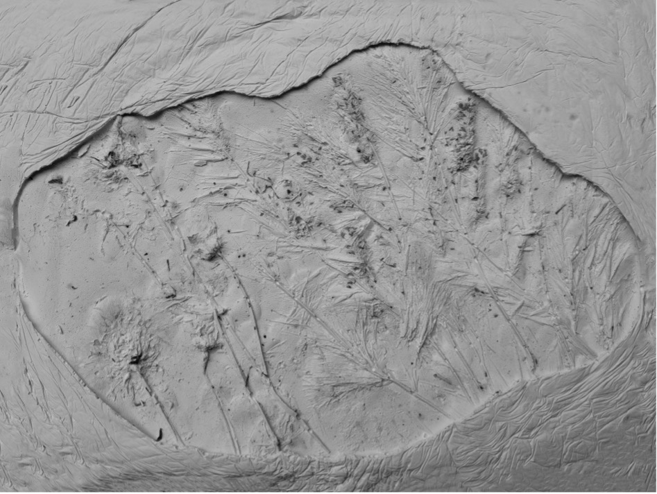 A
          close-up of a sand dune Description automatically generated
          with low confidence