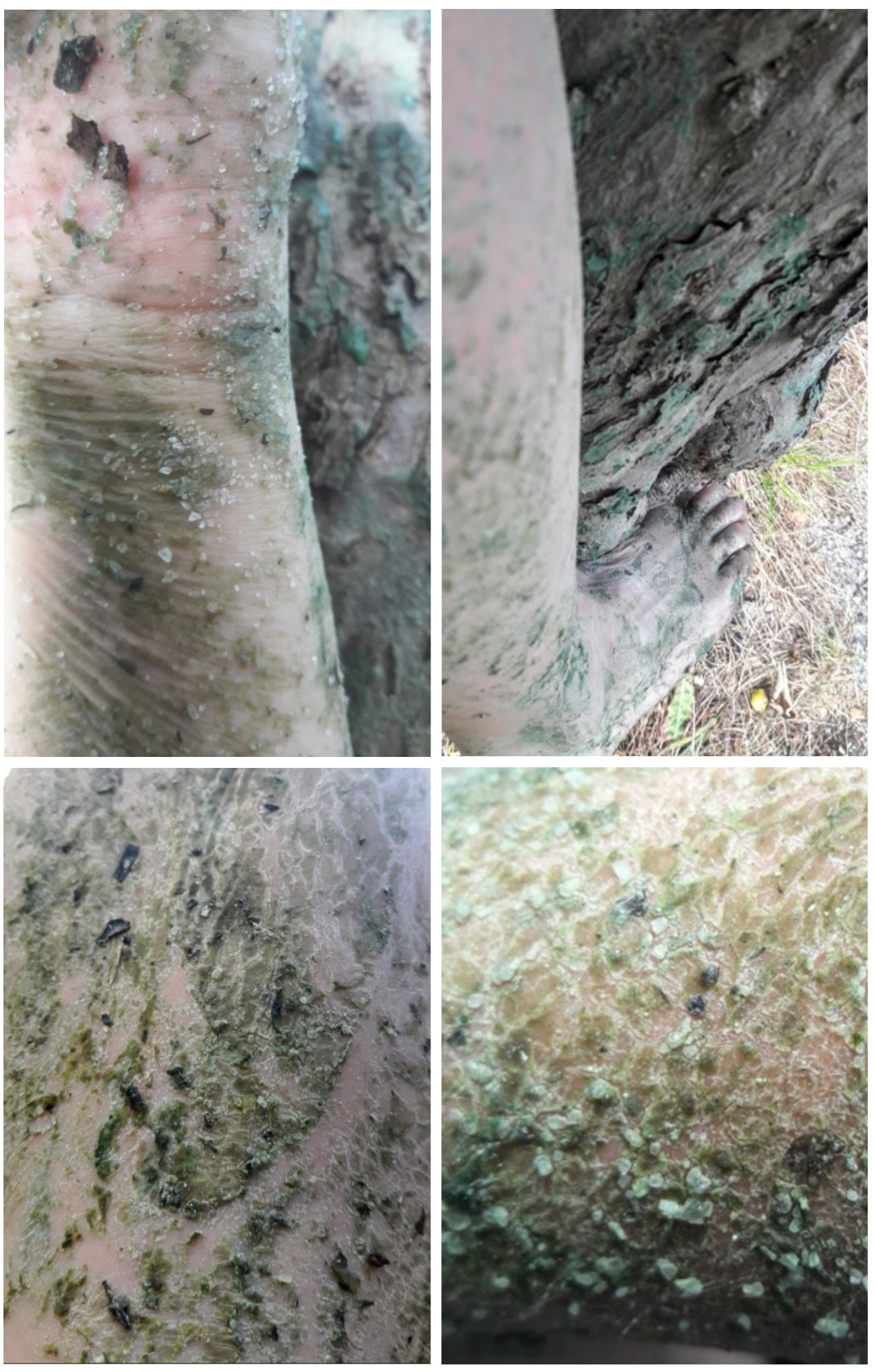 A
          picture containing different, cement Description automatically
          generated