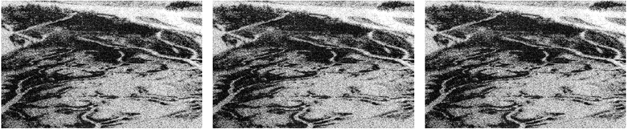 3 rectangular images side-by-side, each is black and
          white and resembles the view of water and land as seen from
          high above. The pictures appear to be very similar.