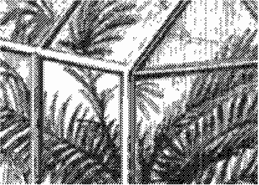 A picture containing text Description automatically
        generated