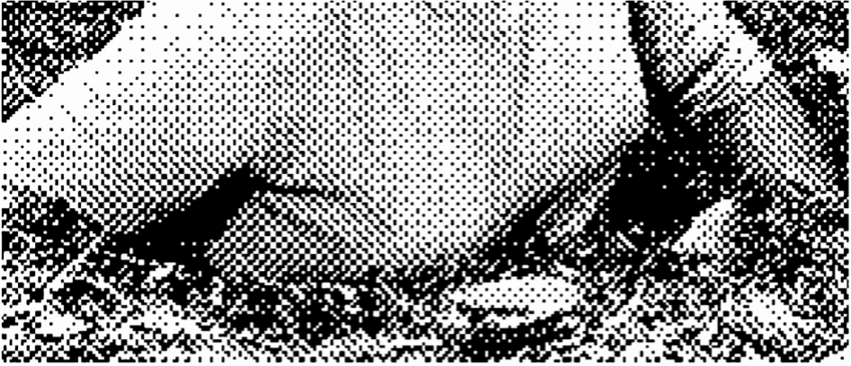 A picture containing text, group Description automatically
        generated