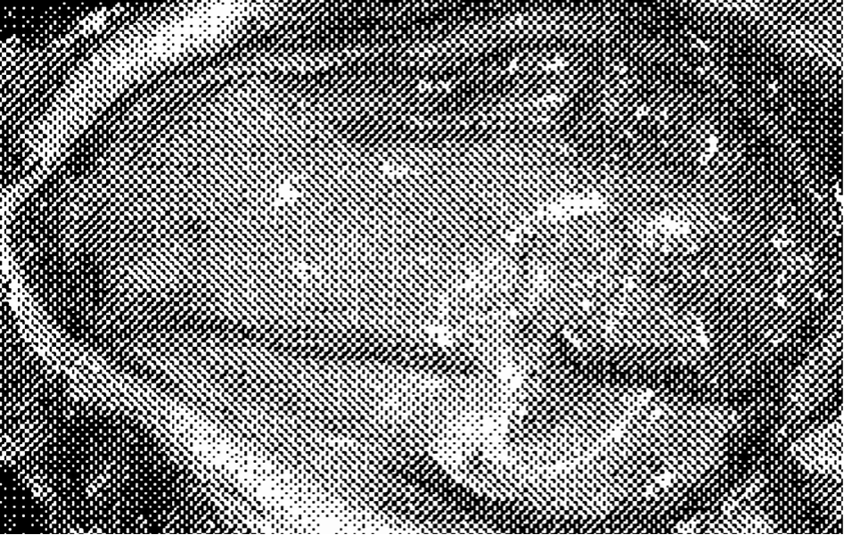 A picture containing people, group Description
        automatically generated